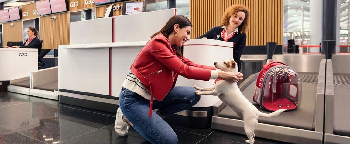 turkish airlines travel with dog
