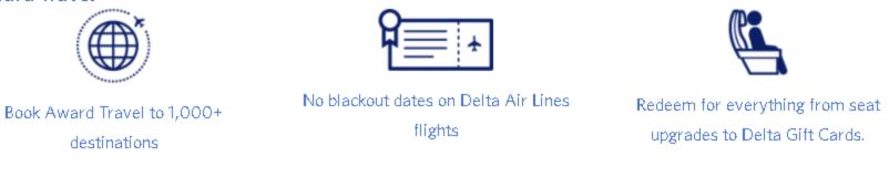 A view Delta Airlines Frequent Flyer Program, SkyMiles